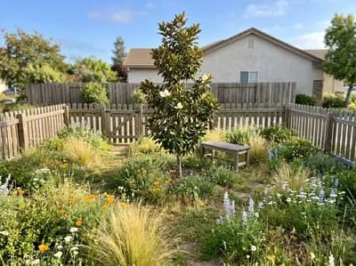 Front Yard interior design visualization