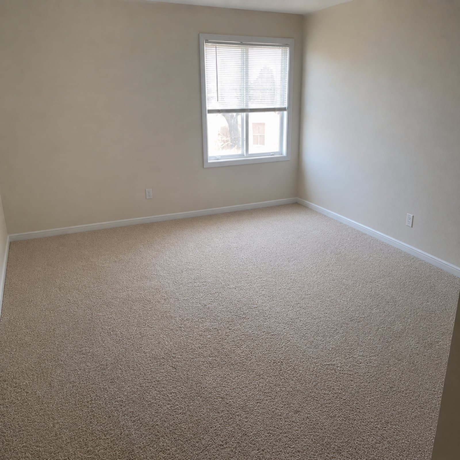 Furniture Removal